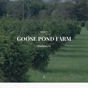Goose Pond Farm