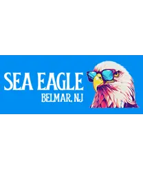 sea-eagle5